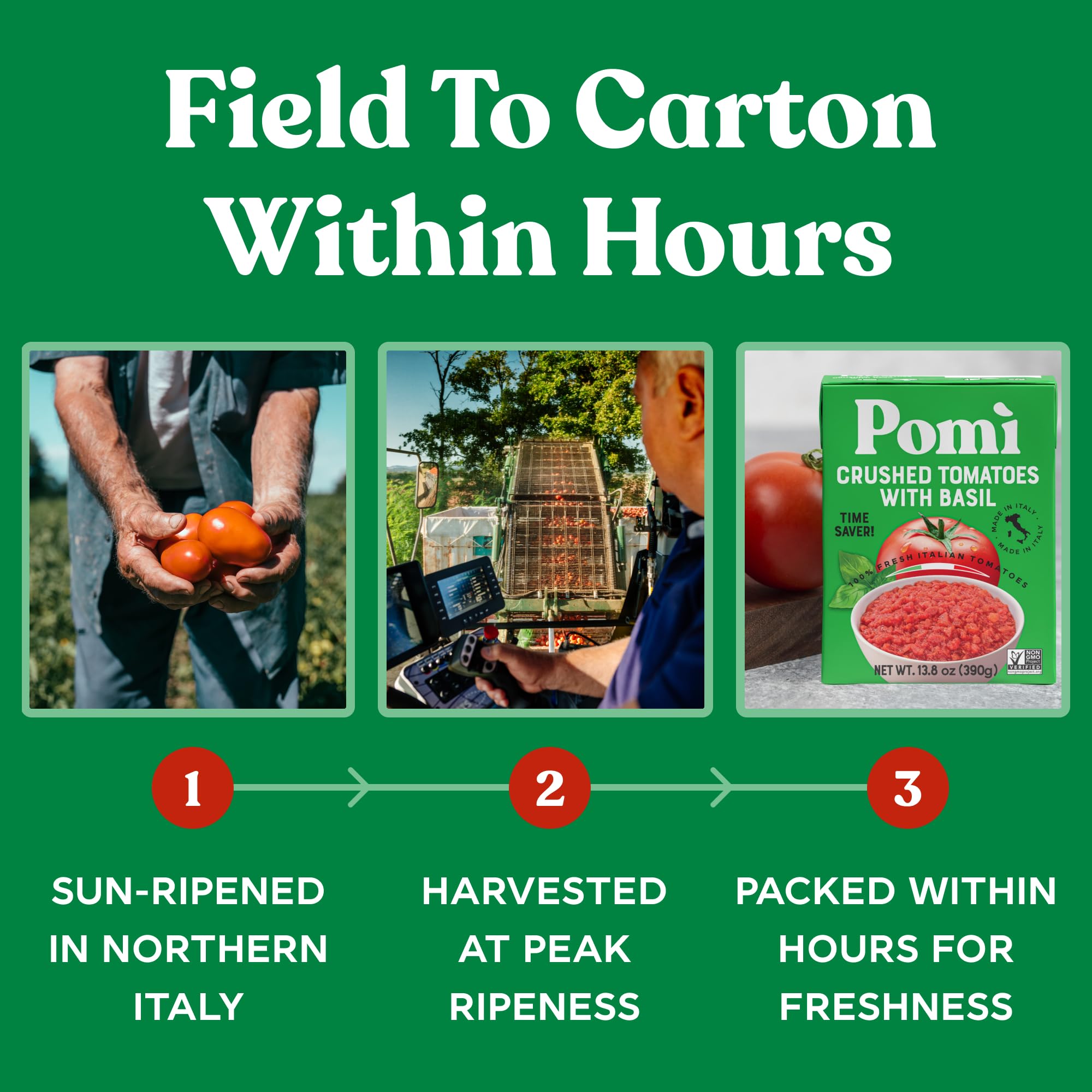 Pomi Crushed Tomatoes with Basil served with pasta highlighting vibrant sauce.
