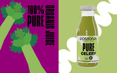 Pomona glass bottles packaging preserves freshness and avoids plastics.