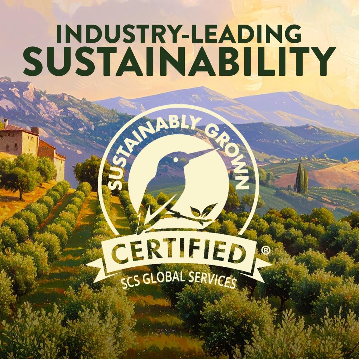 Pompeian Robust EVOO label close-up highlights heritage and quality.