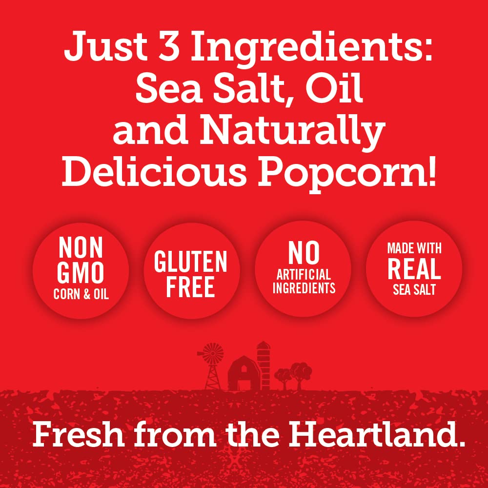 Popcorn Indiana Sea Salt Popcorn ready-to-eat snack idea for busy days.