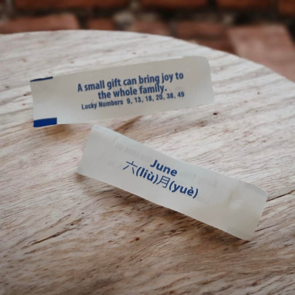 Practically Pampered fortune translation and Chinese characters on fortunes