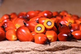 PRAISE Red Palm Oil close-up shows rich color and flavor potential.