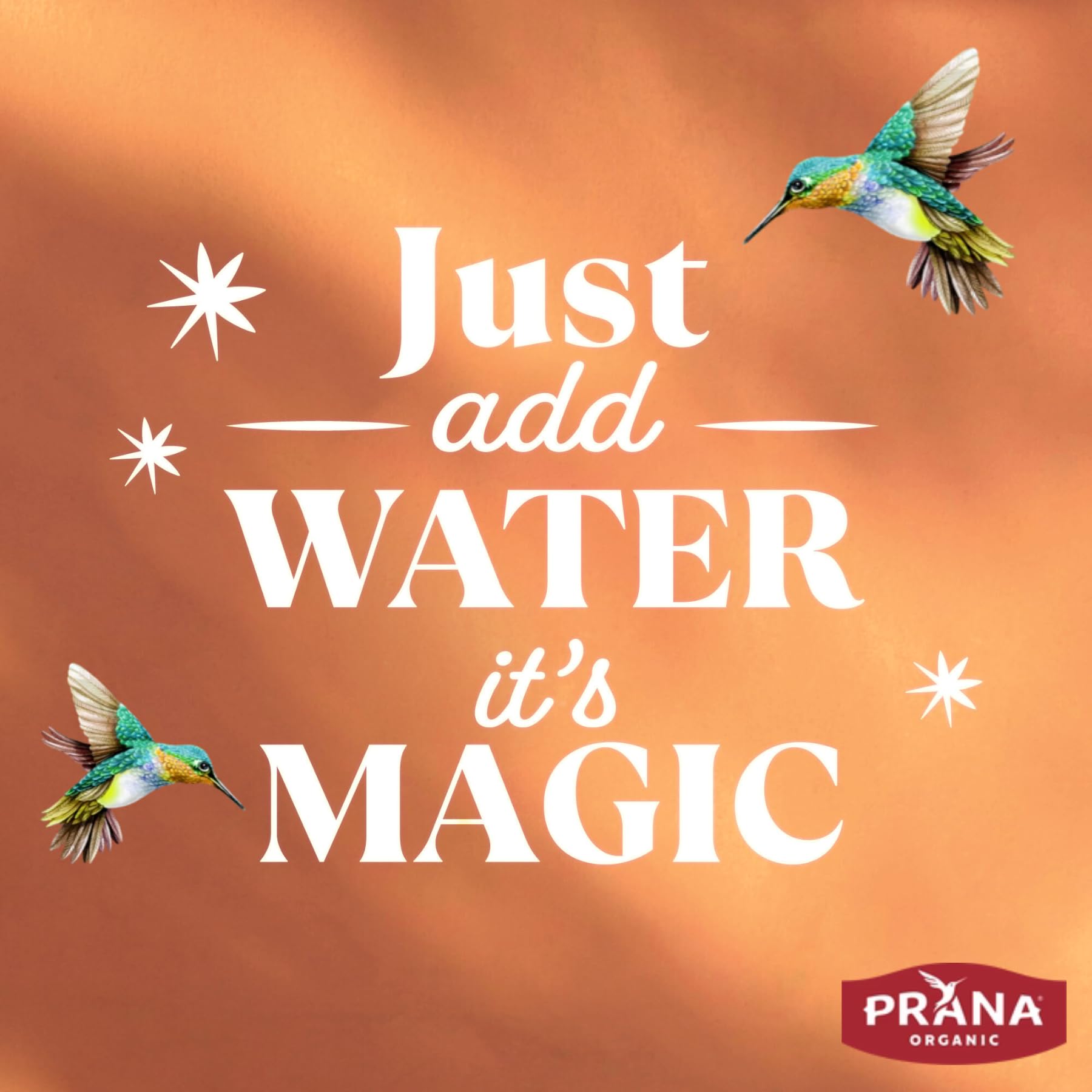 Prana apple crumble overnight chia mix in bowl suggests ready-to-make breakfast.