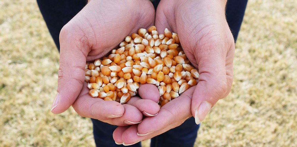 Preferred Popcorn us-grown farm source supports fresh, American-grown kernels.