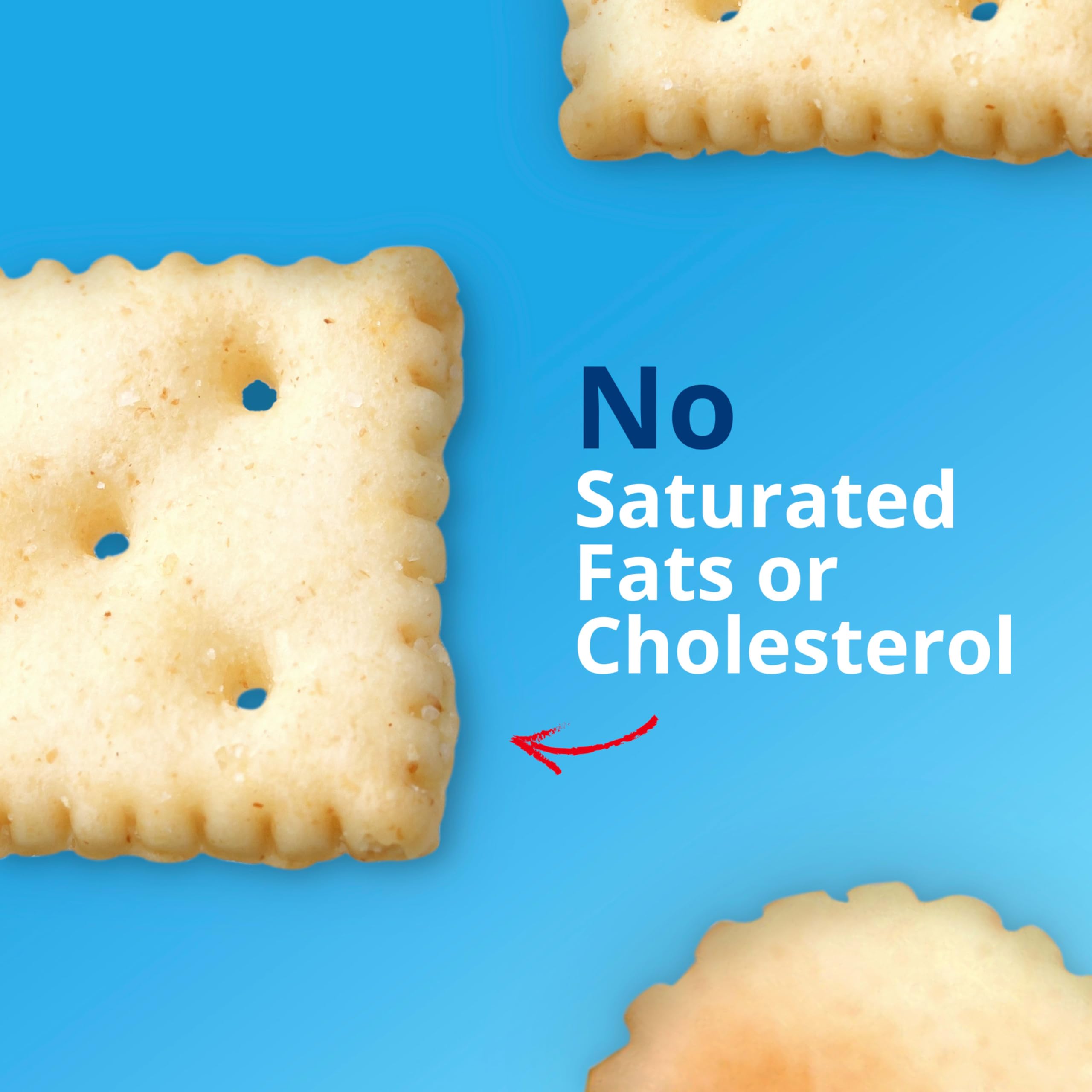 Close-up of Premium Soup & Oyster Crackers showing crisp texture and sea-salt sparkle.