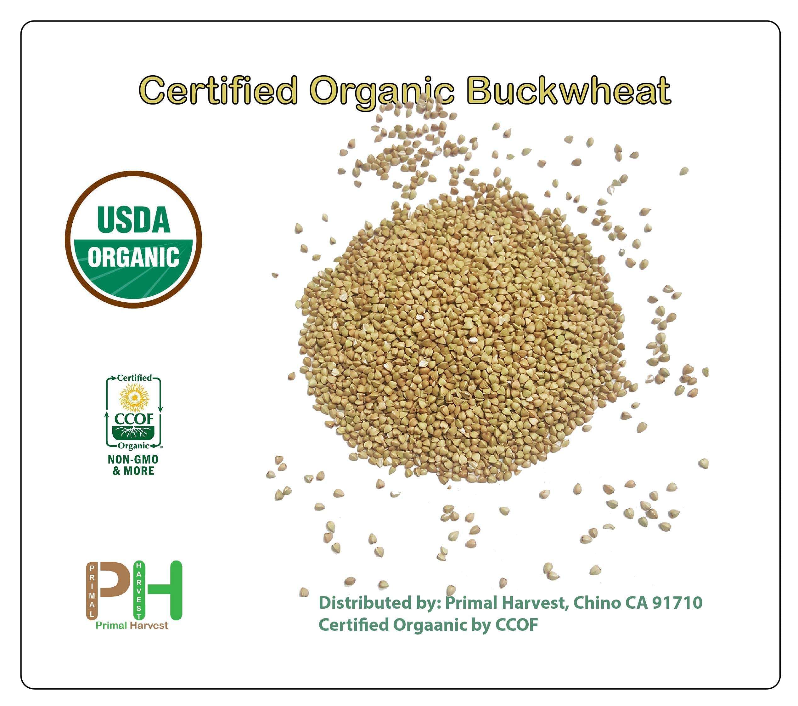 Bulk 10 lb PRIMAL HARVEST buckwheat groats bag for bulk cooking