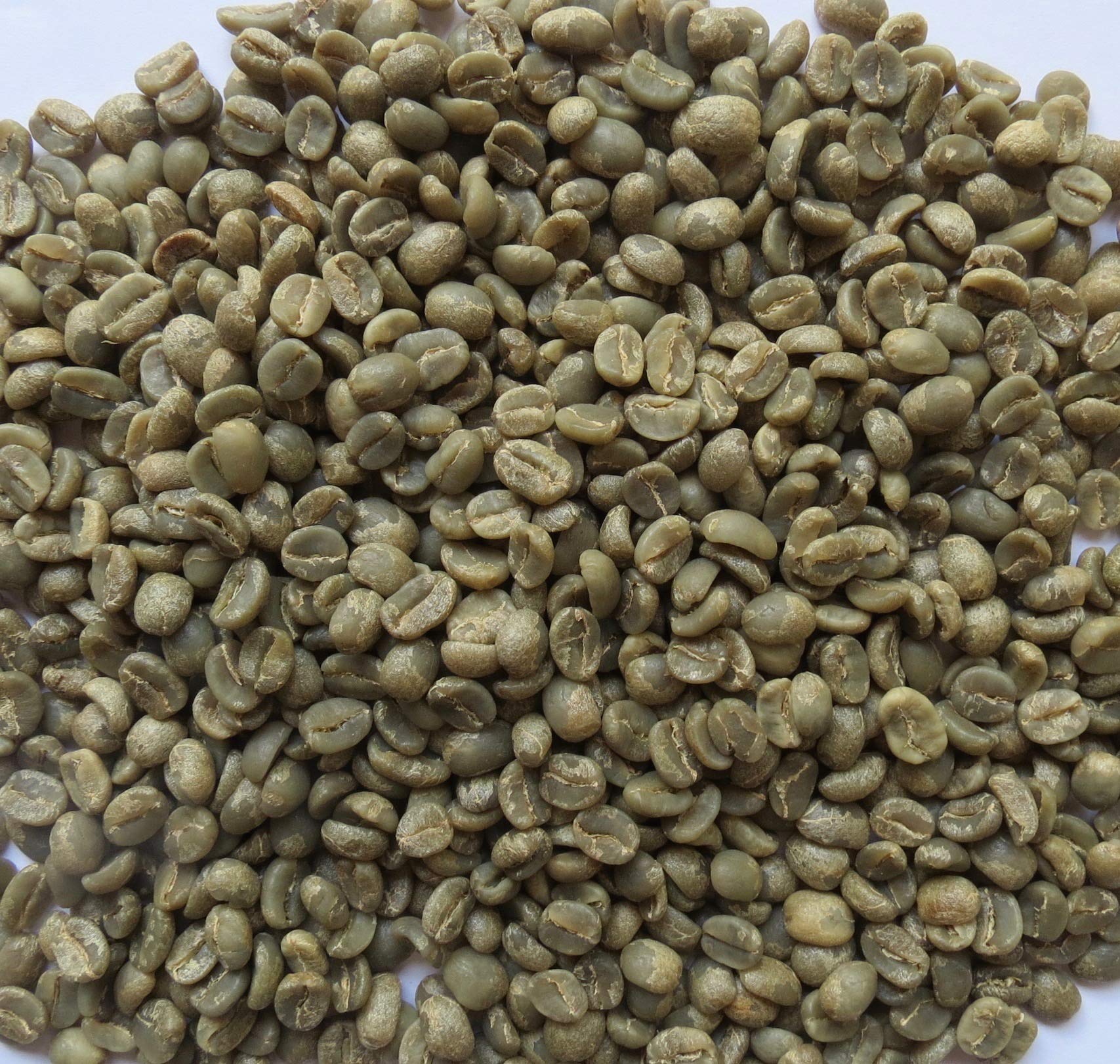 Primos Coffee Co small-batch roasting ready image guides balanced home brew flavor
