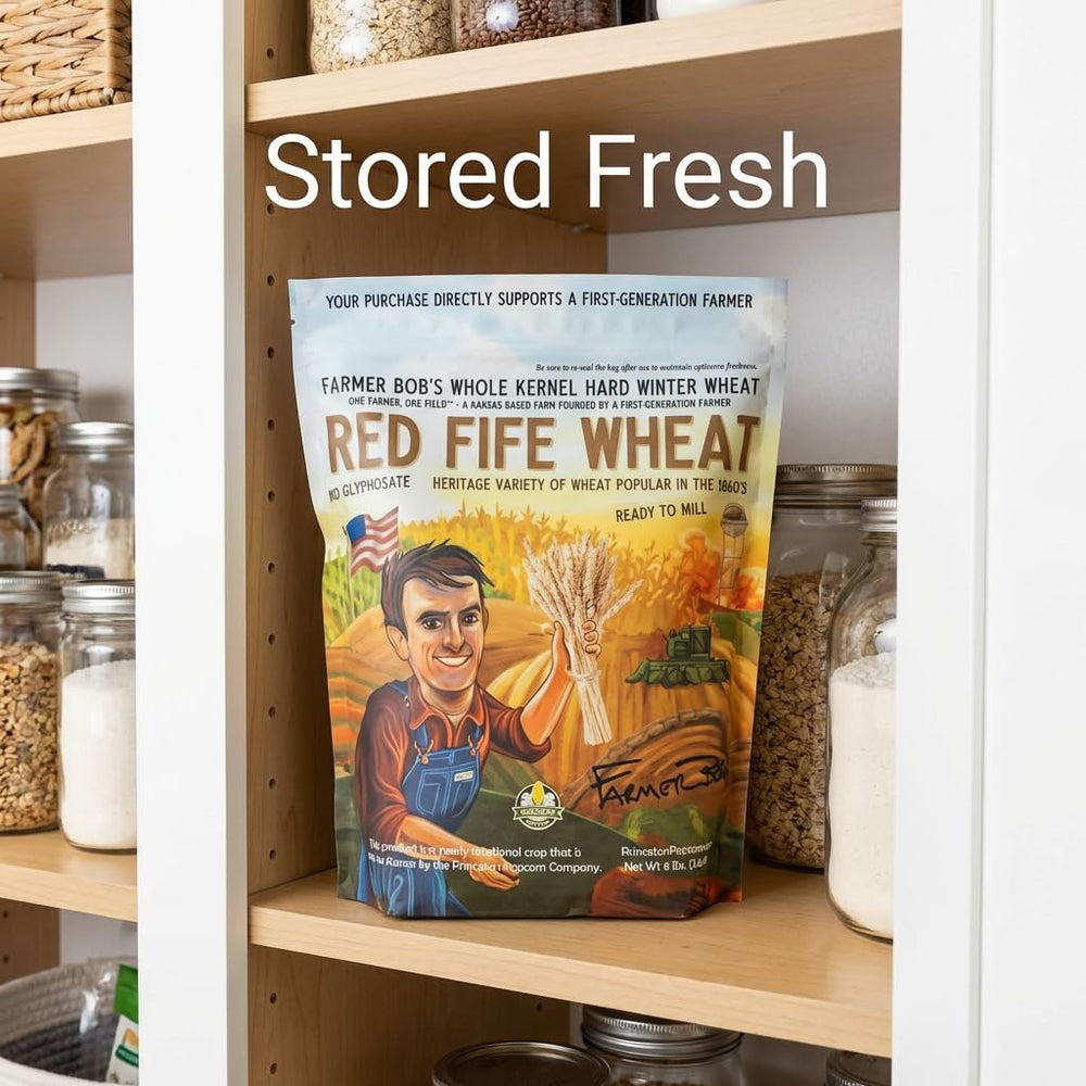 Princeton Popcorn dough with wheat berries for bread or pizza dough.
