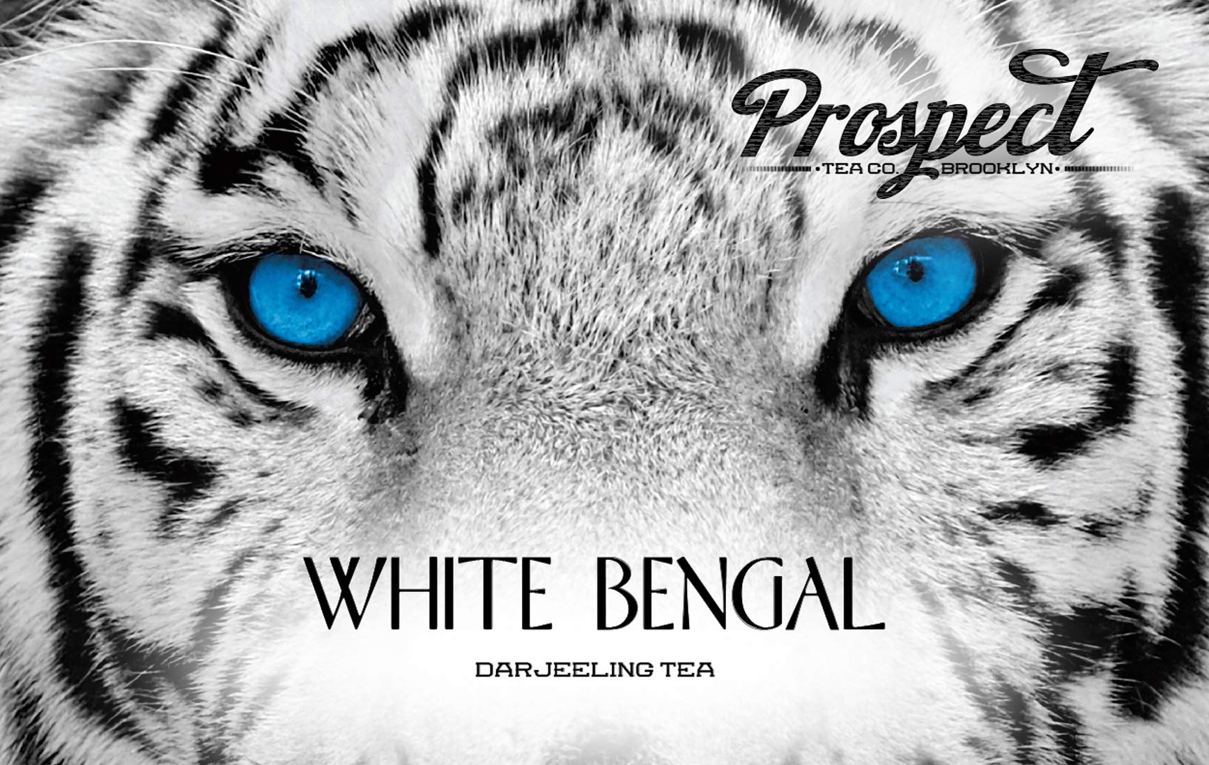 Aromas rise from Prospect Tea Co. White Bengal Darjeeling pods during prep, signaling premium tea experience