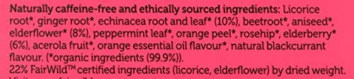 Pukka decaffeinated Elderberry & Echinacea tea bags for anytime sipping.