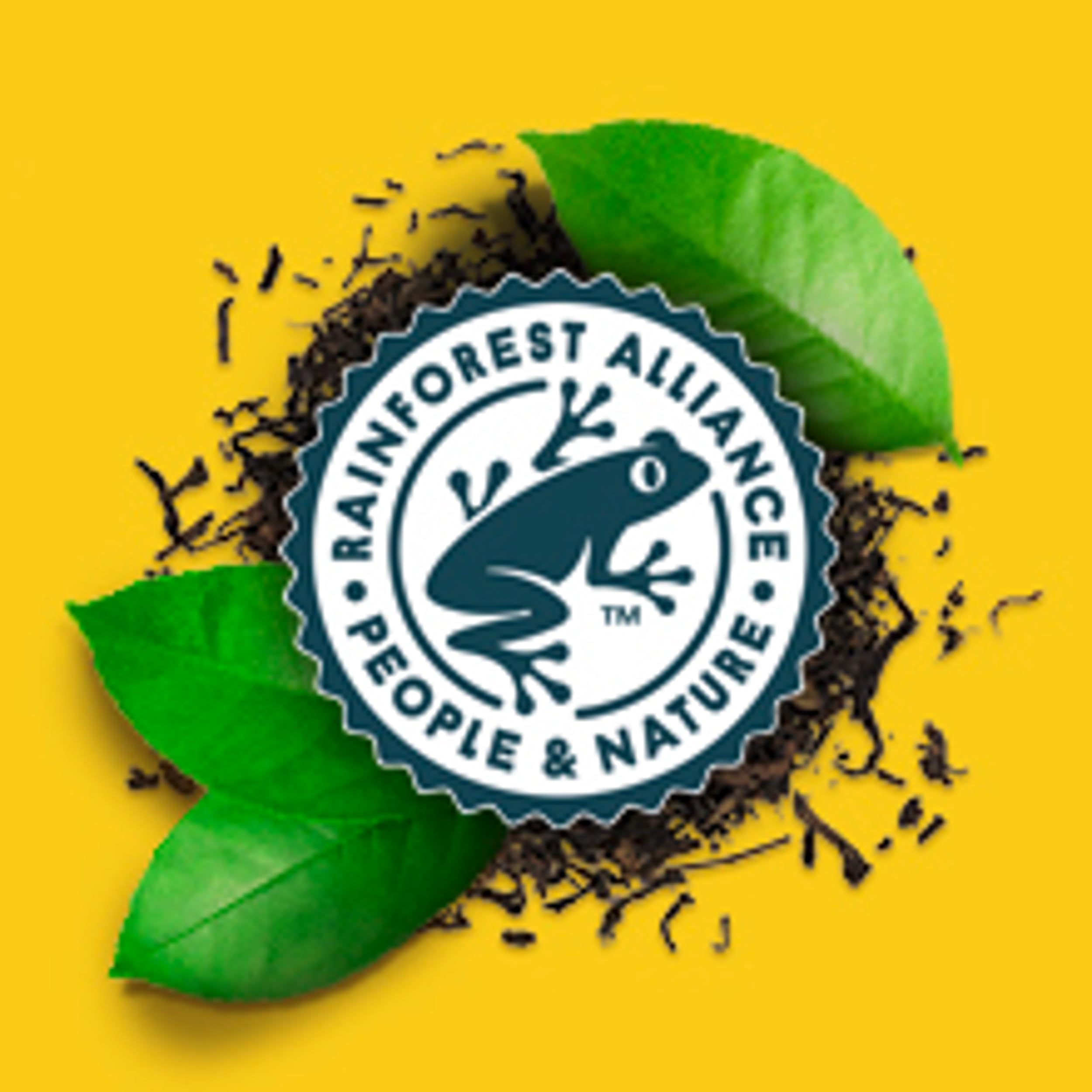 Pukka Night Time tea brand label emphasizes organic herbal blend