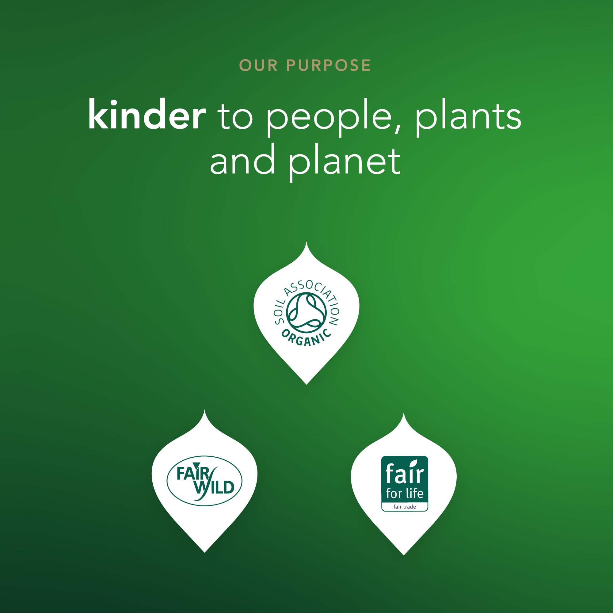 Pukka Supreme Matcha eco-conscious branding highlighting sustainability values.