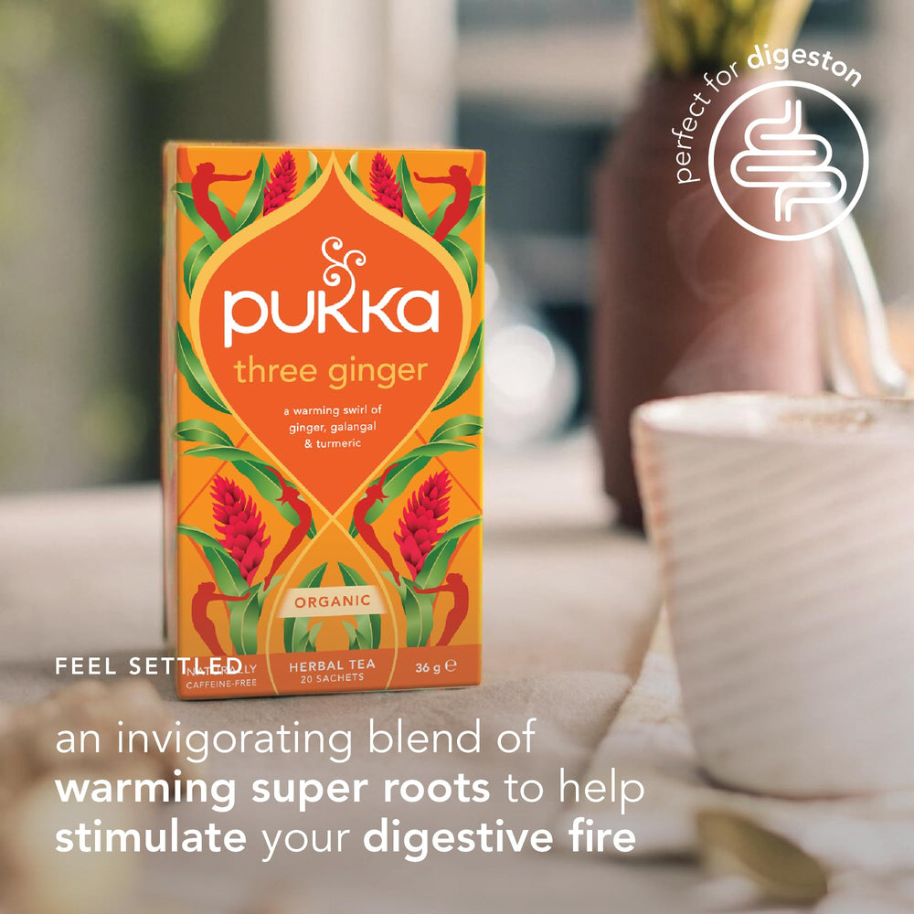 Pukka Three Ginger Tea bags in cup, ready to steep for flavor