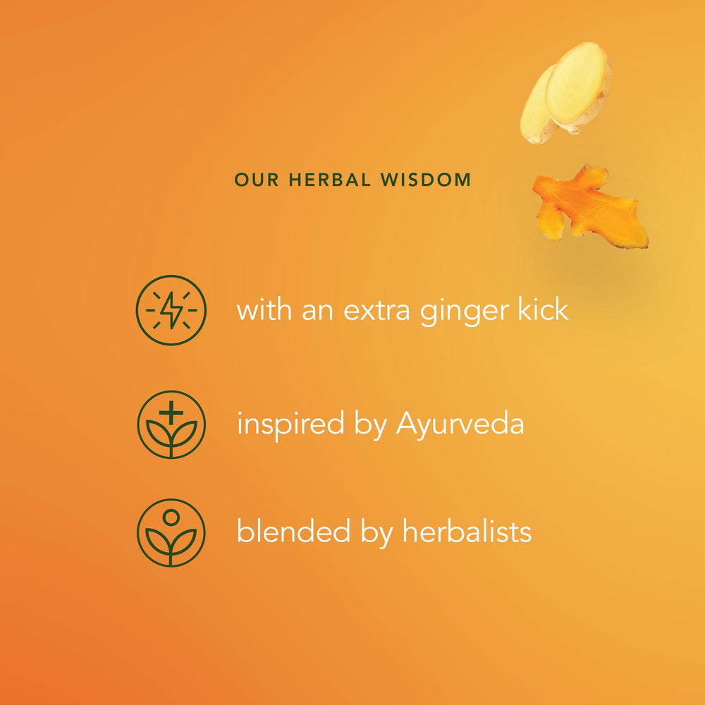 Pukka Three Ginger Tea brewing in hot water releases spicy aroma