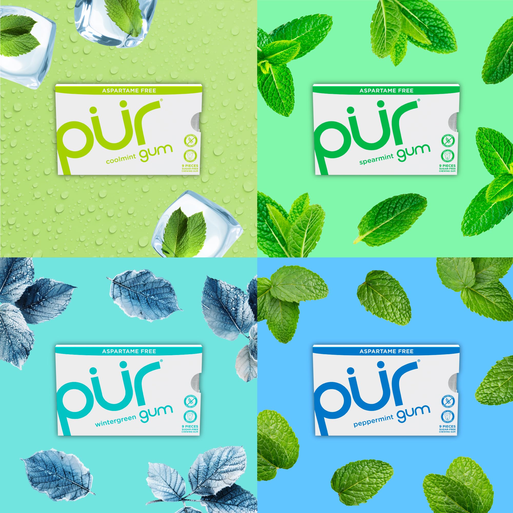 PUR Gum Chocolate Mint flavor blister blends mint and chocolate for a guilt-free treat