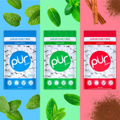 PUR Gum Cinnamon flavor with fiery, bold taste.