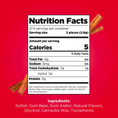 Pur Gum Cinnamon resealable bag highlighting freshness and portability
