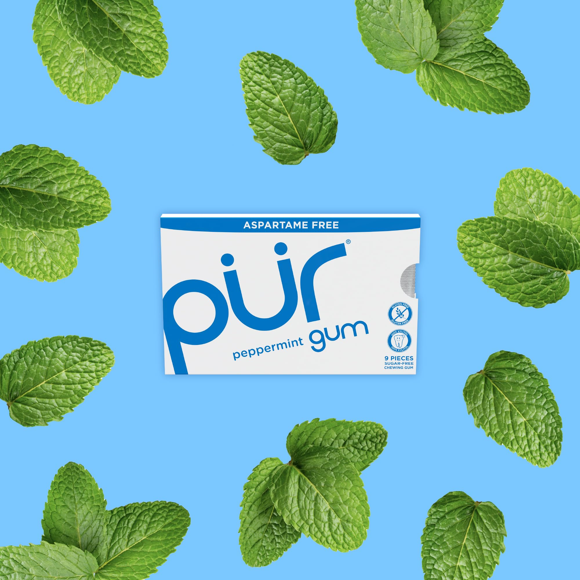 PUR Gum natural peppermint pieces close-up in blister