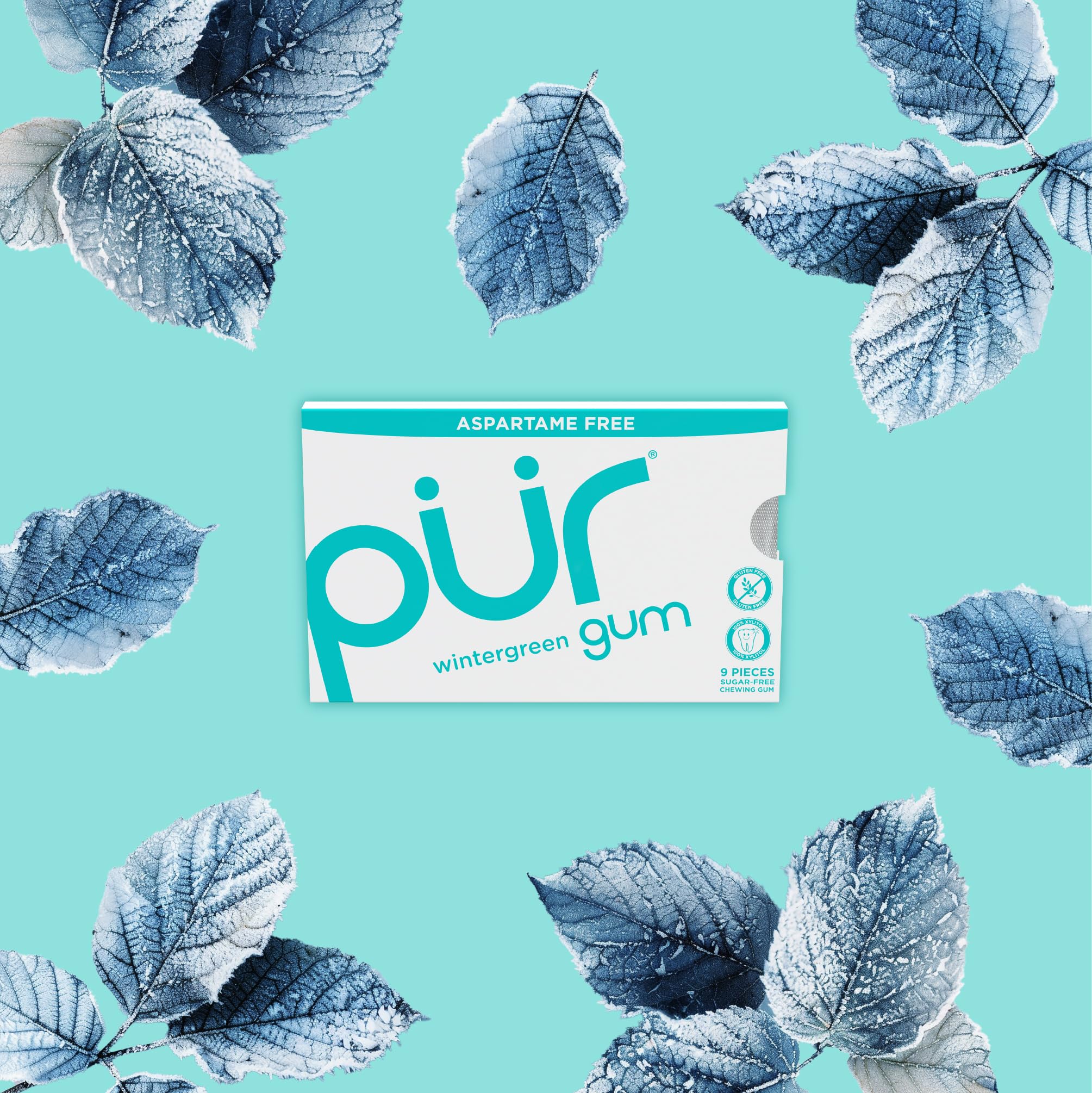 PUR Gum vegan non-GMO kosher label on packaging