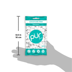 Pur Gum Wintergreen mint breath-boost, compact package fits bag.