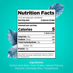PUR Gum Wintergreen pieces close-up highlighting natural xylitol sweetness.