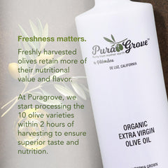 Close-up of hand-harvested olives used in Pura Grove oil