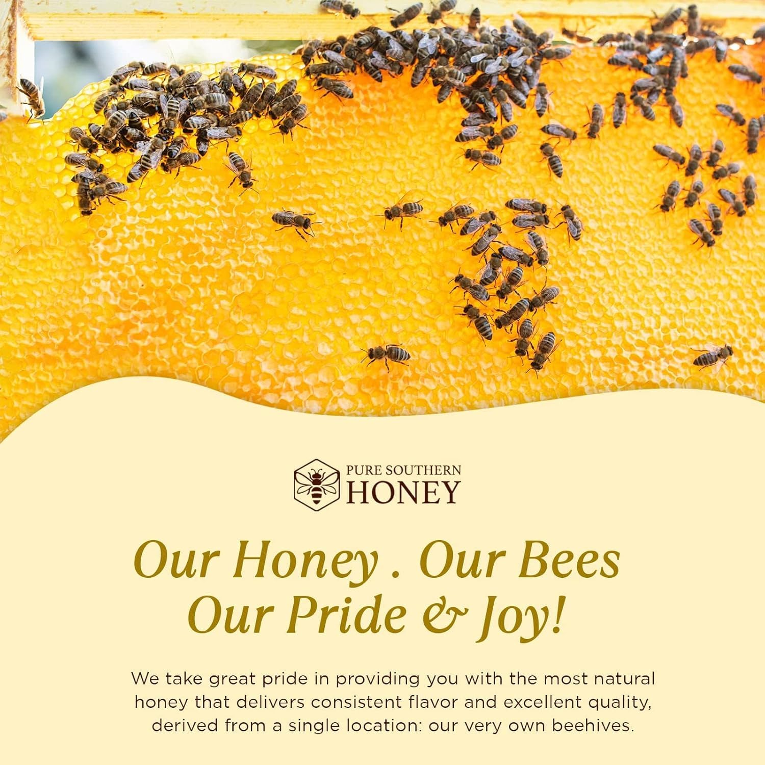 Pure Southern Honey amber honey pour preserves unheated, natural sweetness