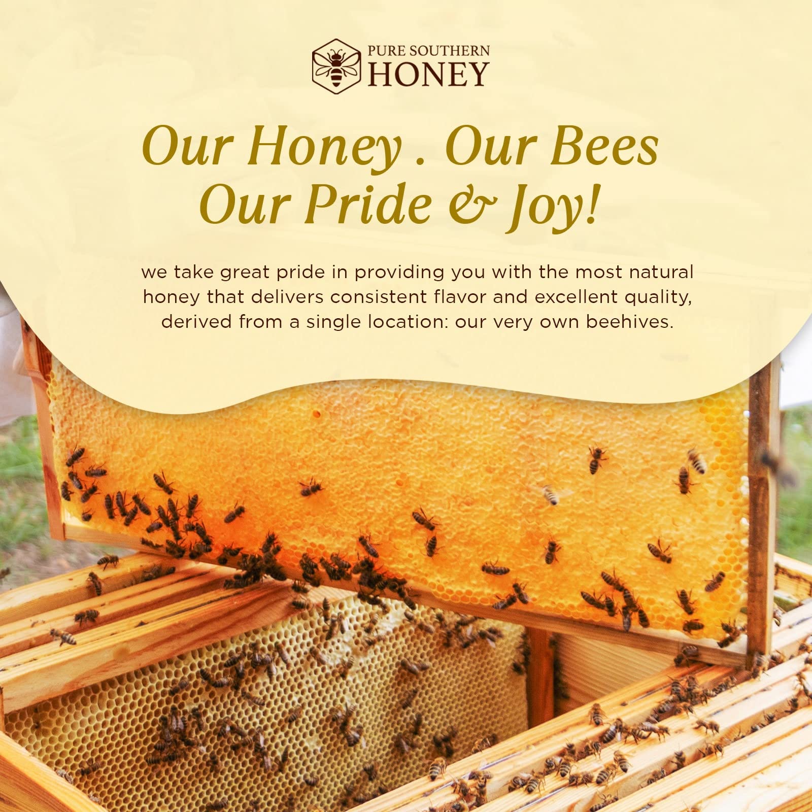 Pure Southern Honey visible honeycomb invites artisanal serving.