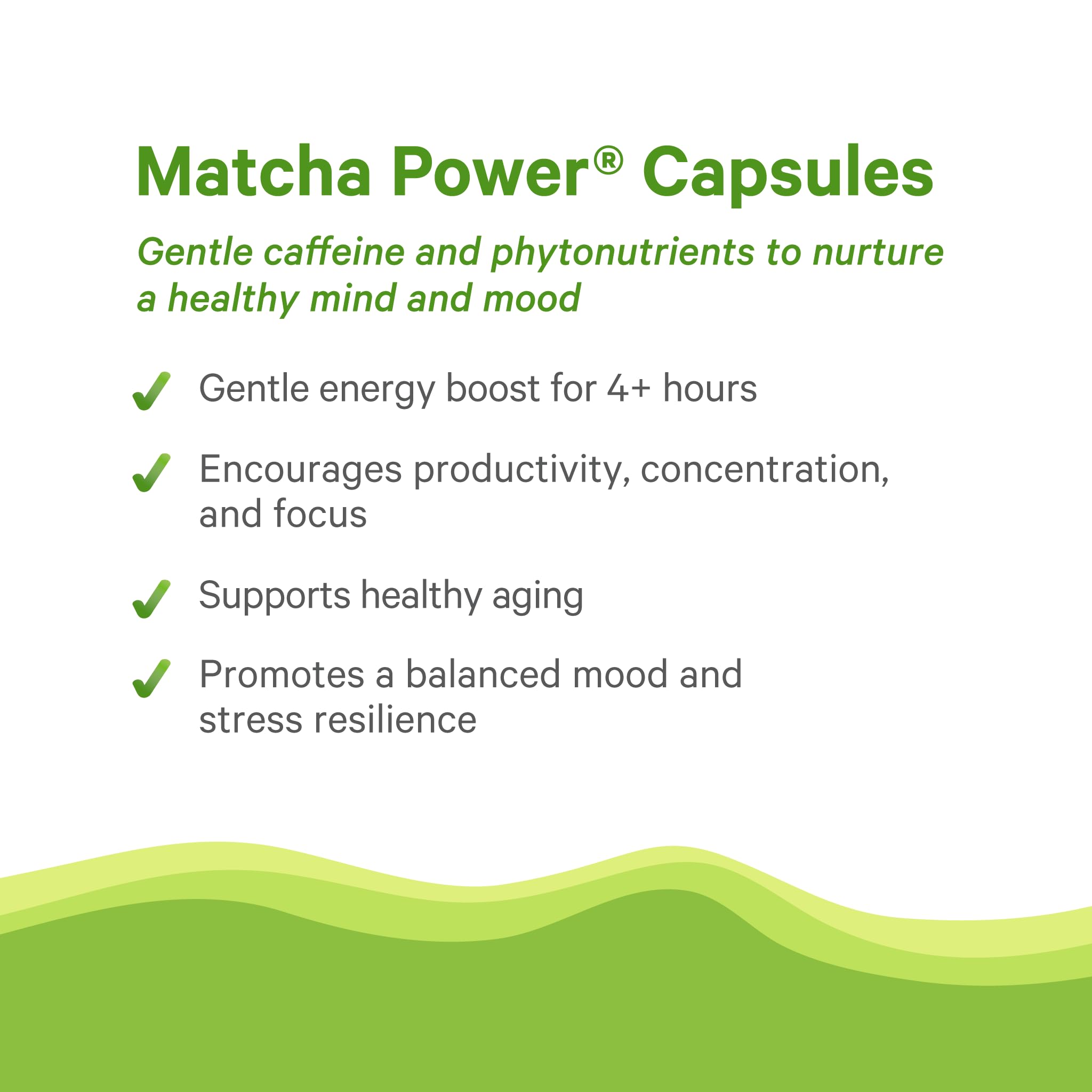 PURE SYNERGY Matcha Power bottle against Moab label, signaling trusted organic ingredients.