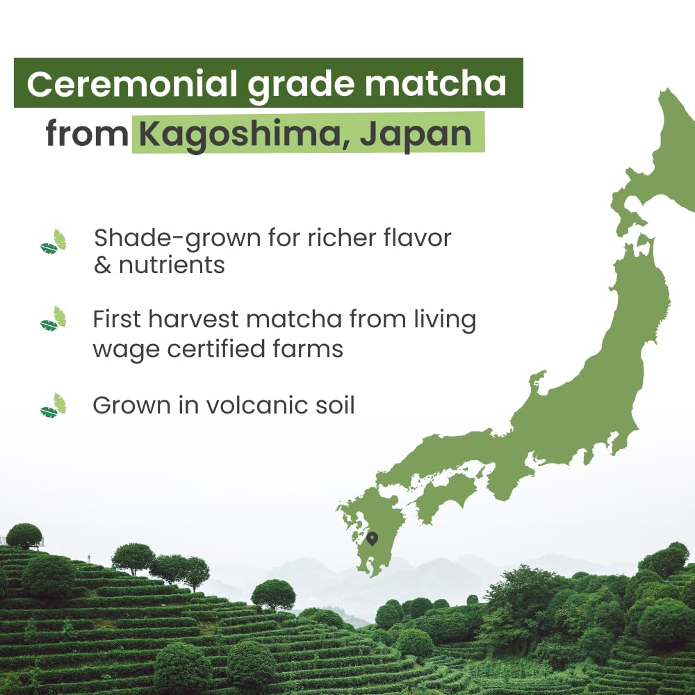 PureChimp ceremonial matcha jar closeup reveals vibrant emerald color