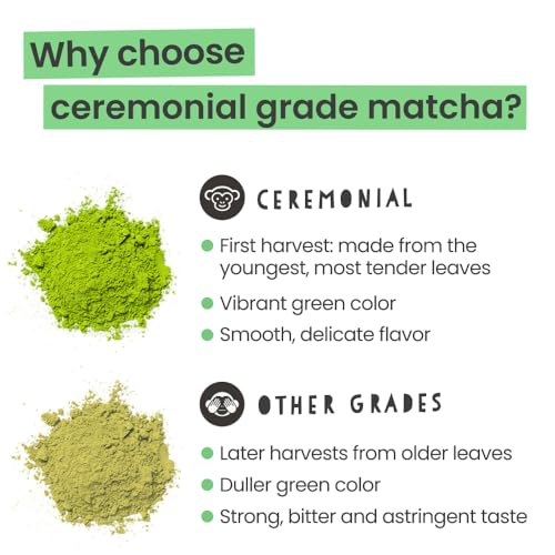 PureChimp matcha cup ready for focused, balanced enjoyment