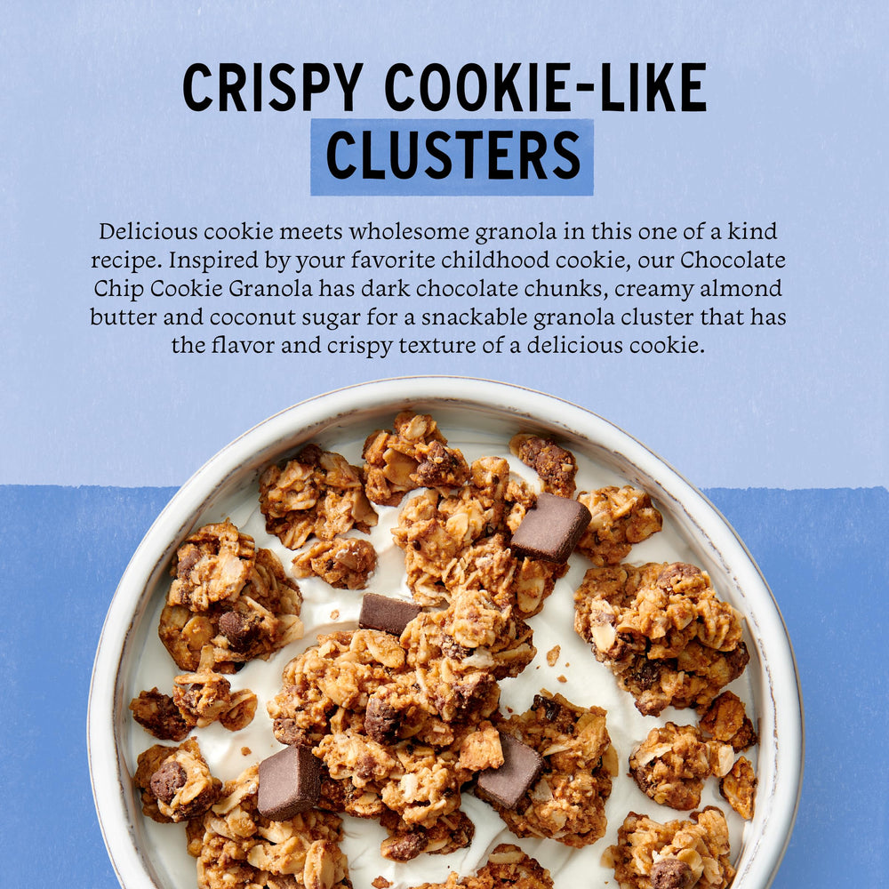Purely Elizabeth Oatmeal Raisin granola close-up, plump raisins and nutty oats.