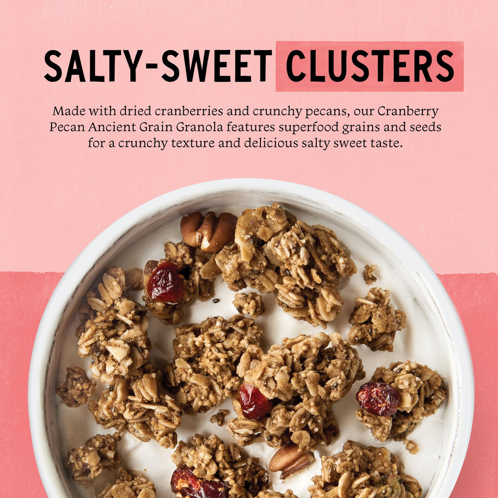 Purely Elizabeth granola ingredients closeup showing wholesome oats and seeds.