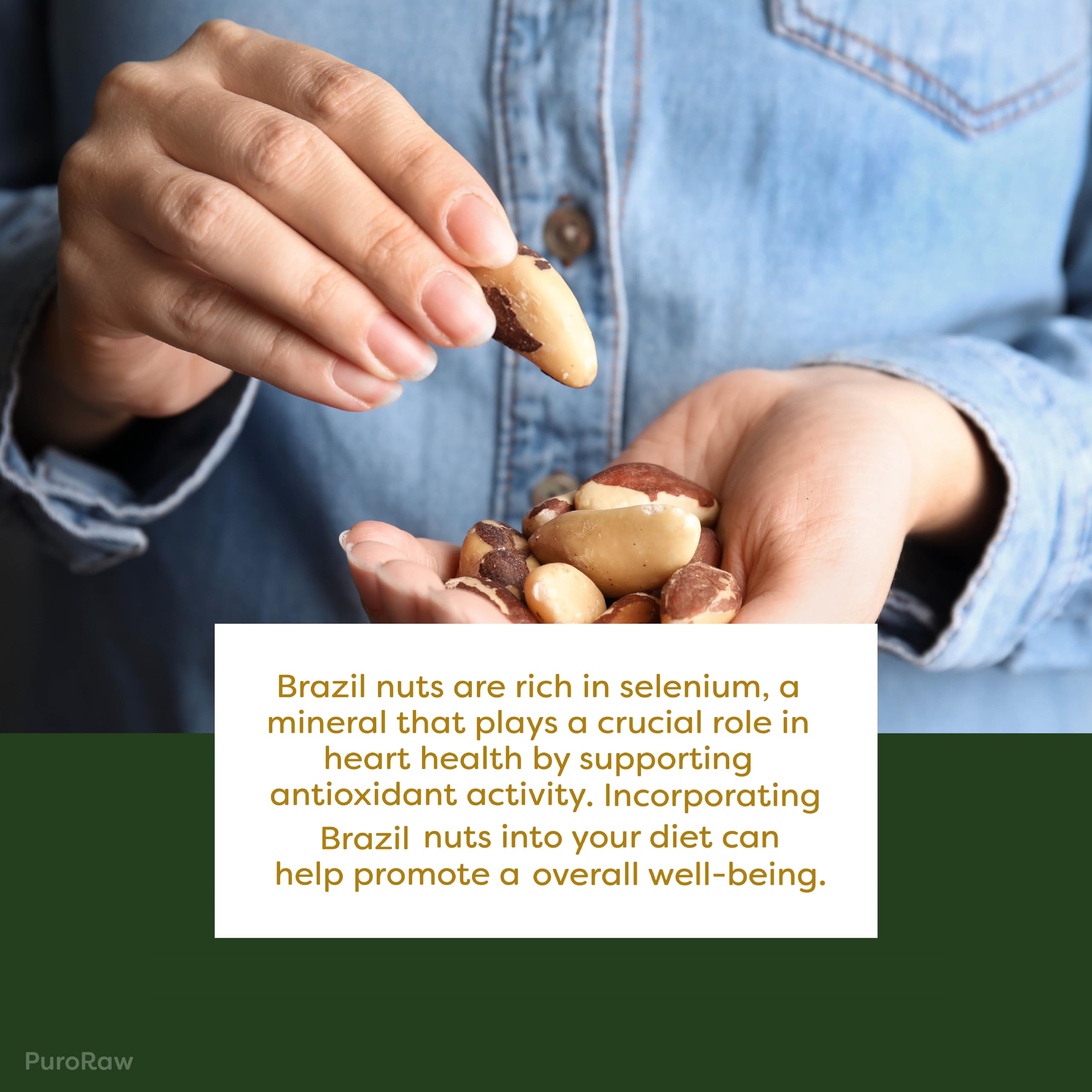 PuroRaw Brazil Nuts bulk 1lb resealable pouch.