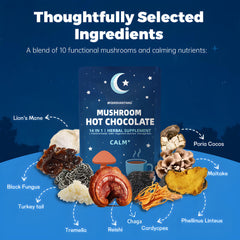 QIN SHAN TANG Mushroom Hot Chocolate night-time calm for unwinding