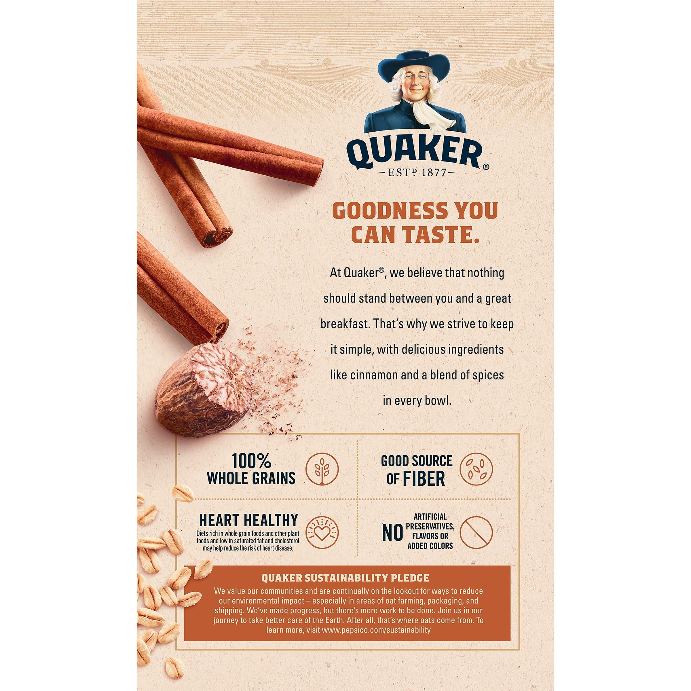 Quaker Instant Oatmeal Cinnamon Spice morning serve cup ready in minutes