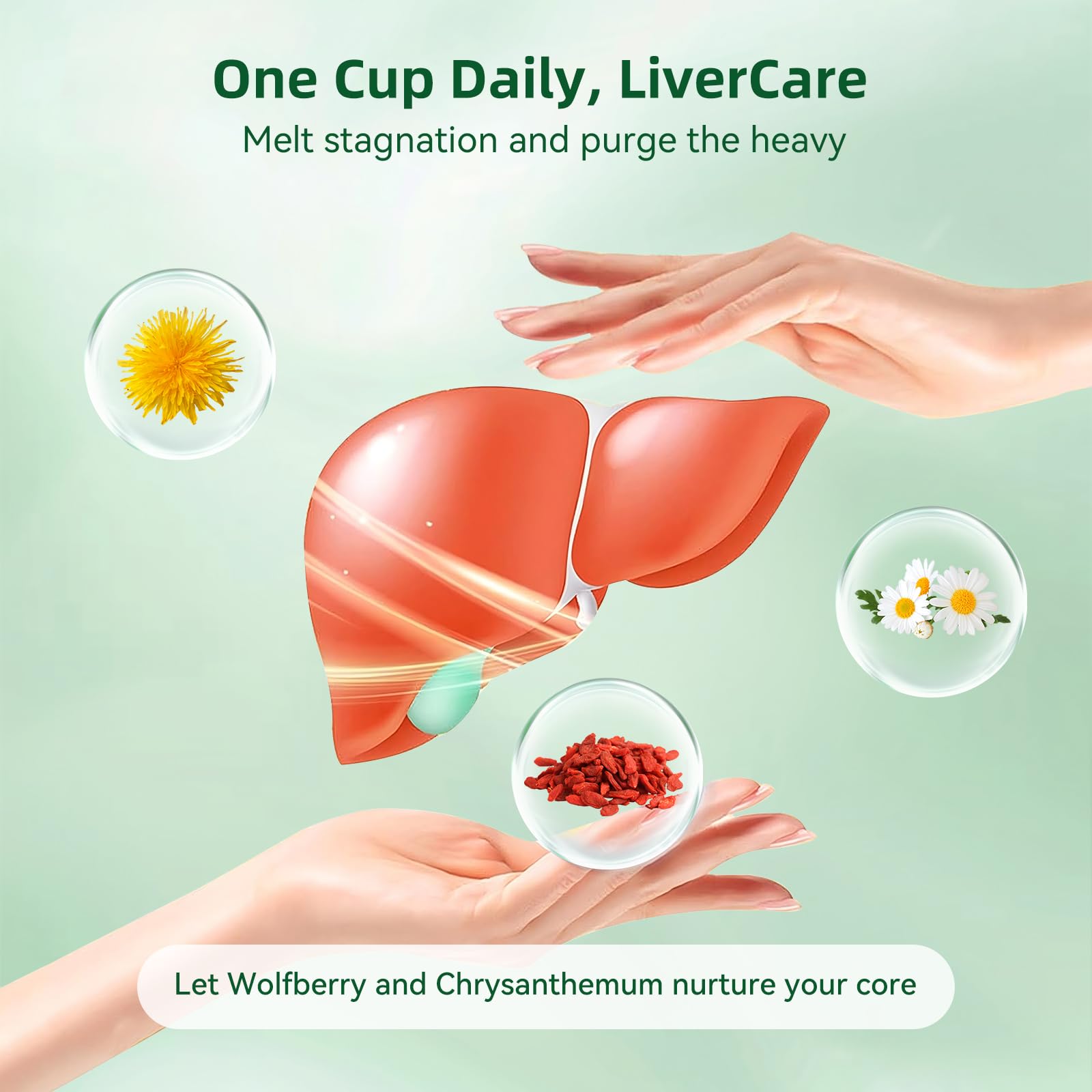 QualiLife Dandelion Wolfberry Tea deep amber brew with fragrant aroma