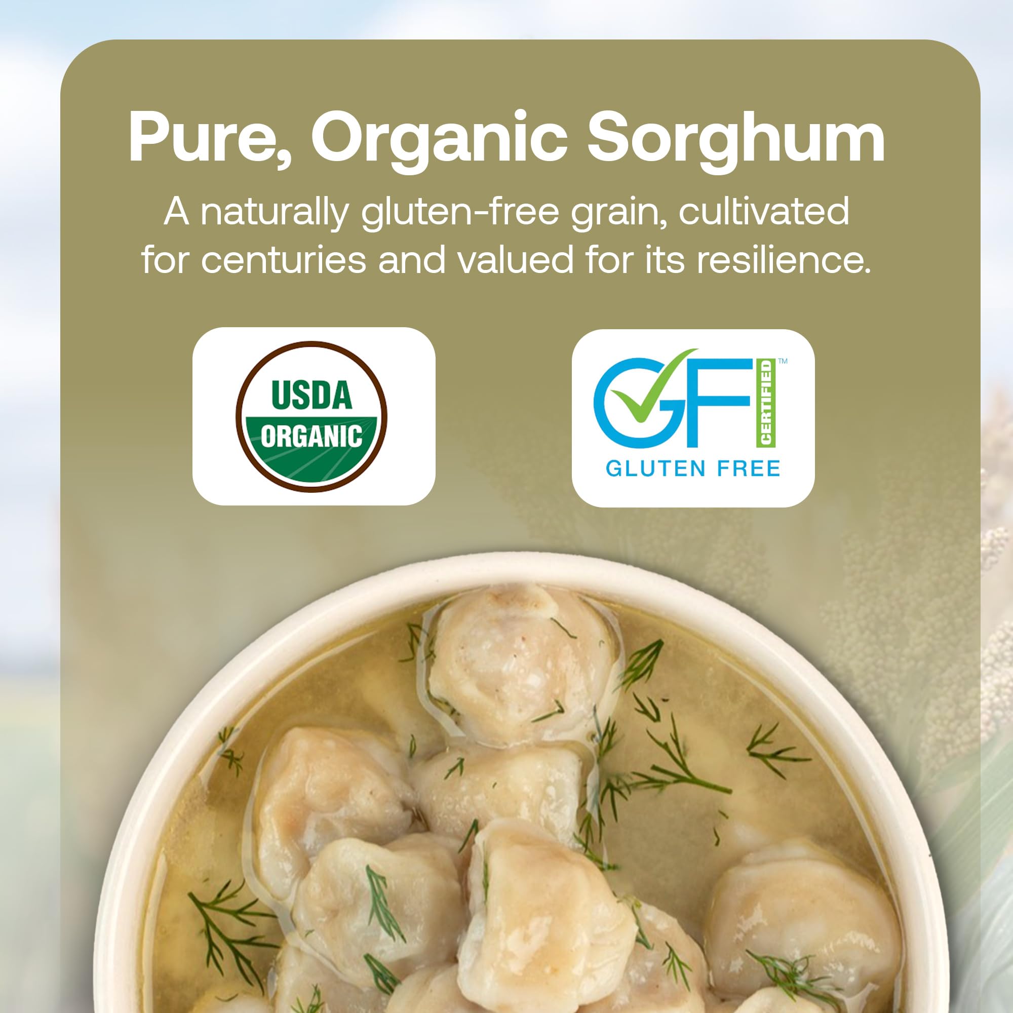 Quay Naturals organic sorghum grains showing whole grain staple.