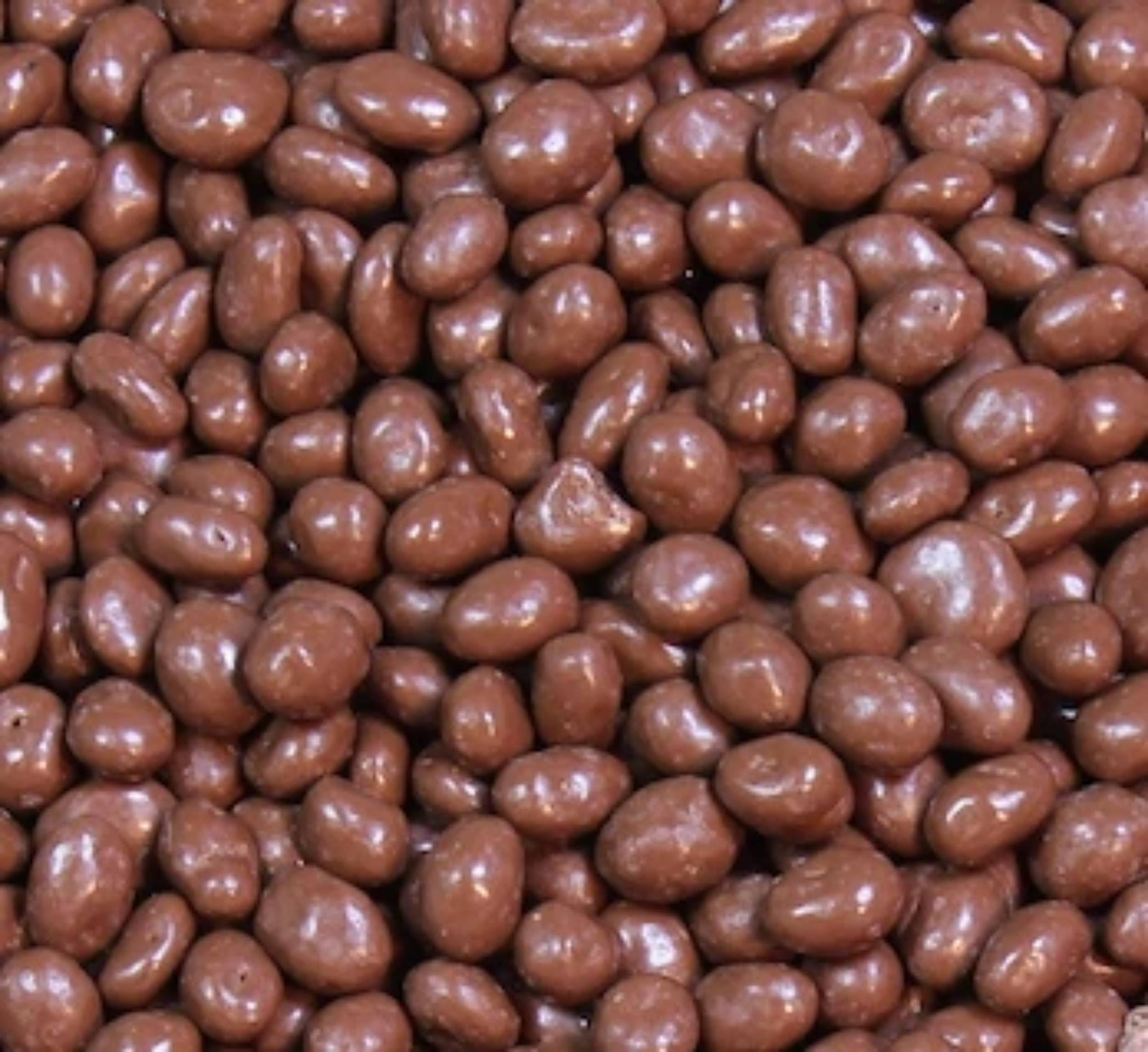 Queen City Candy Cave milk chocolate raisins bulk 1lb for bulk snacking.