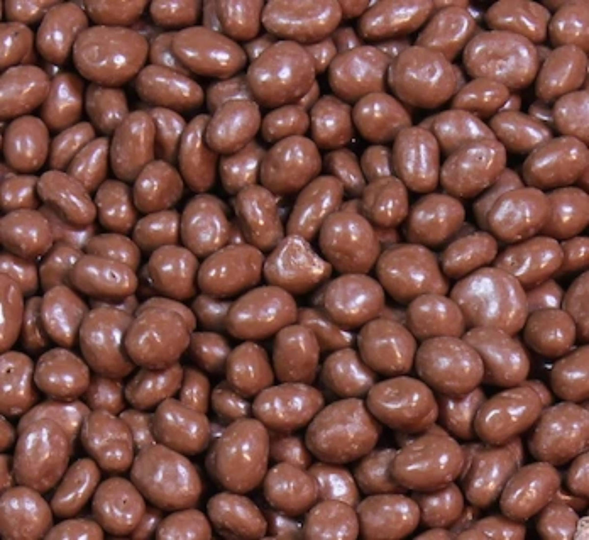 Queen City Candy Cave milk chocolate raisins bulk 1lb for bulk snacking.