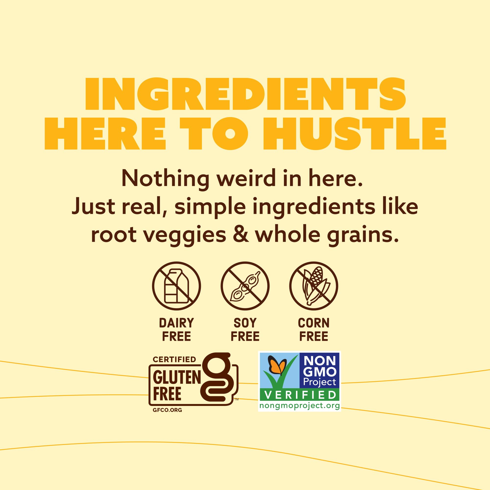 Quinn Snacks dairy-free option suitable for dairy-free diets.