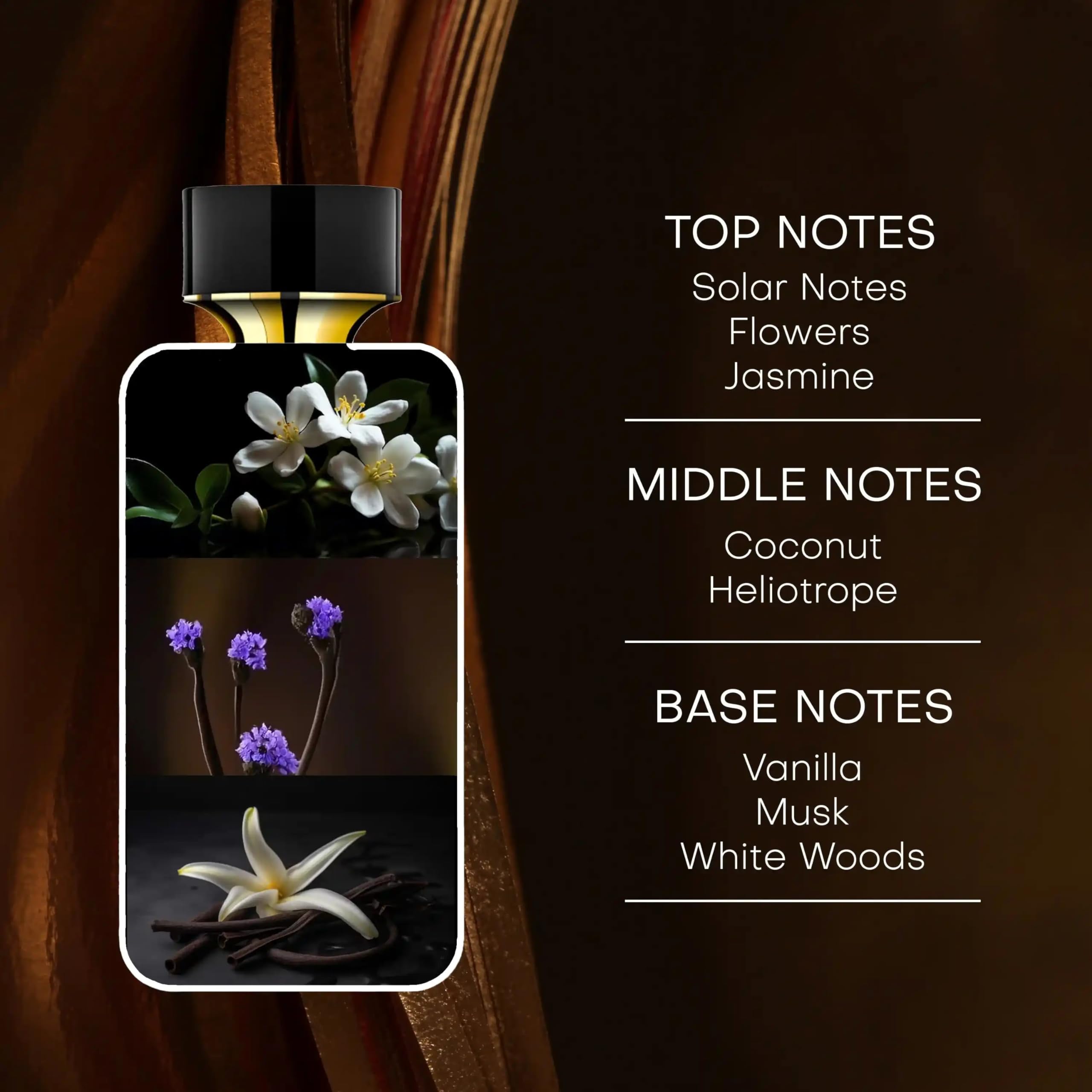 Rachel Zoe Empowered box packaging, gift-ready presentation