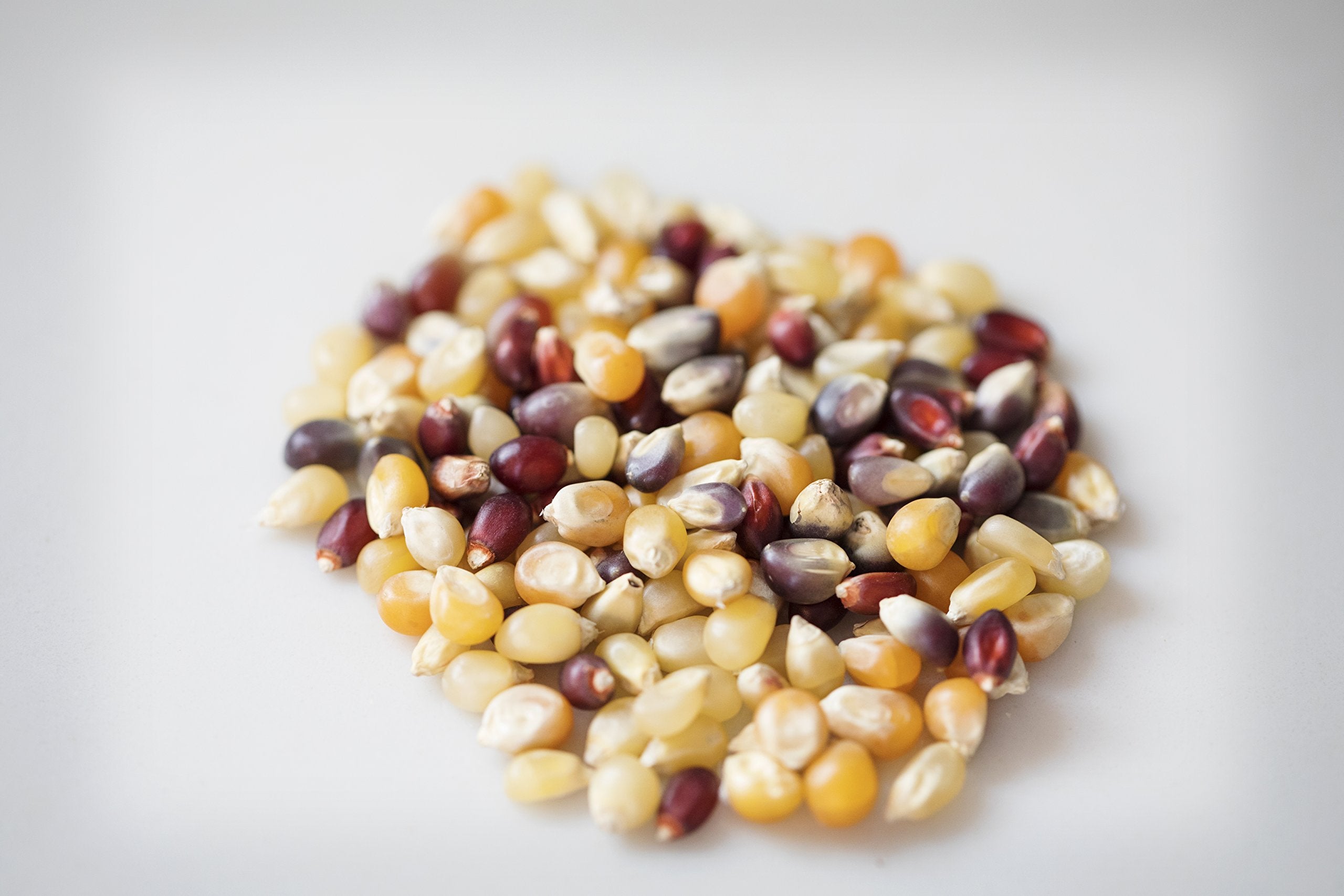 Rainbow popcorn kernels in a bowl, perfect for a vibrant movie night.