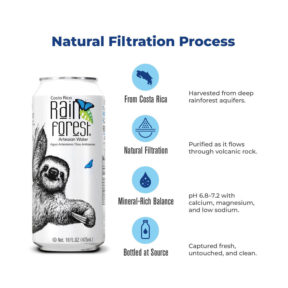 Rainforest Artesian Water box back view showing 12 cans
