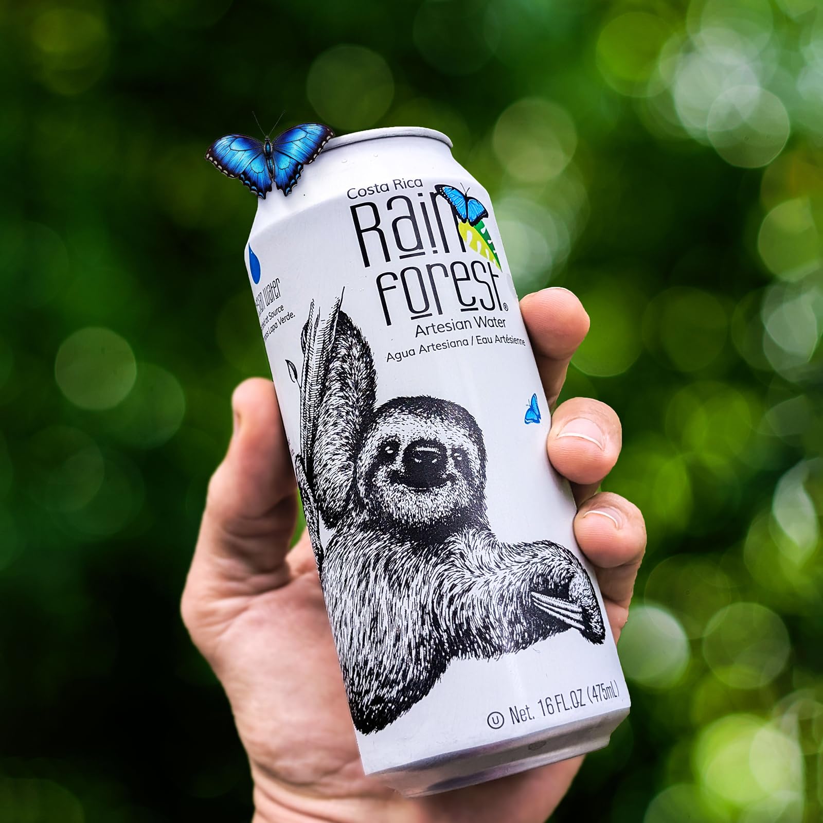 Rainforest Artesian Water Treeping partnership supports tree planting