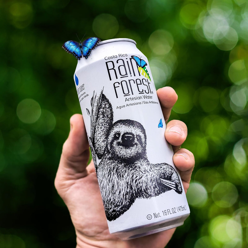 Rainforest Artesian Water Treeping partnership supports tree planting
