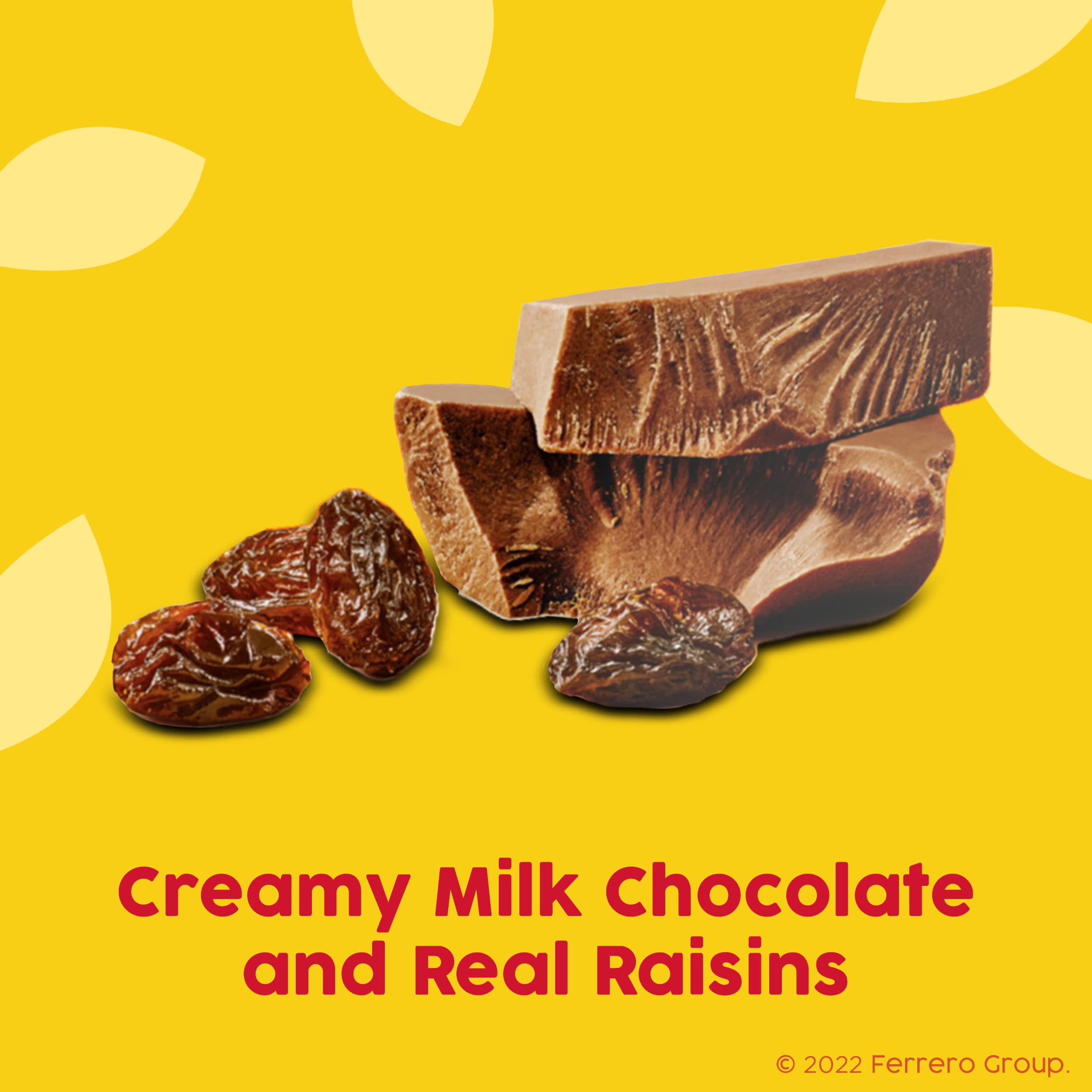 Raisinets bulk pack display ideal for sharing at home or office.