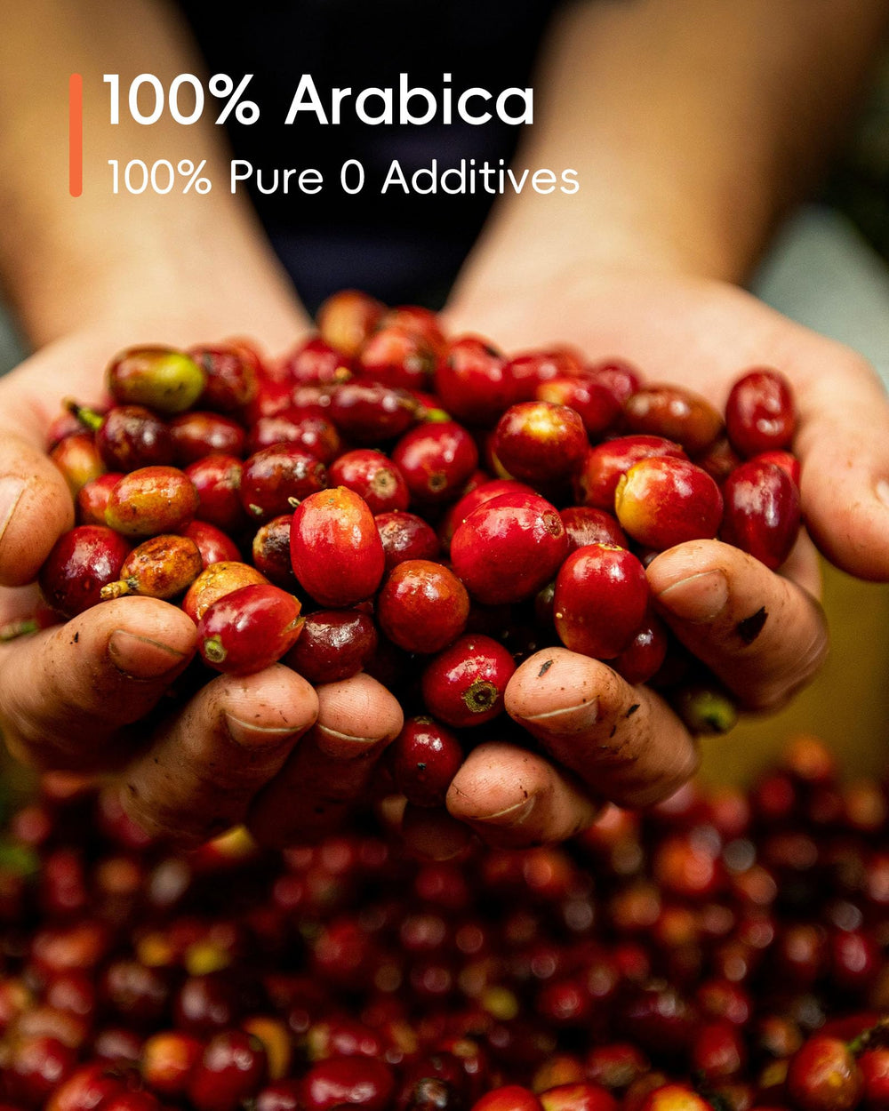 Rami Coffee ice-cold brew ready in seconds with cold water.