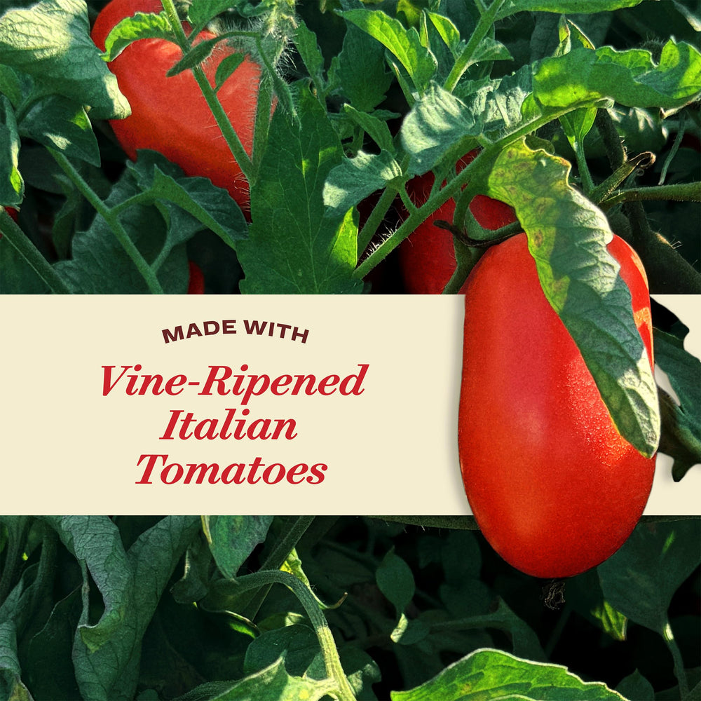 Rao's sauce with meatballs on plate offers comforting Italian dining at home.