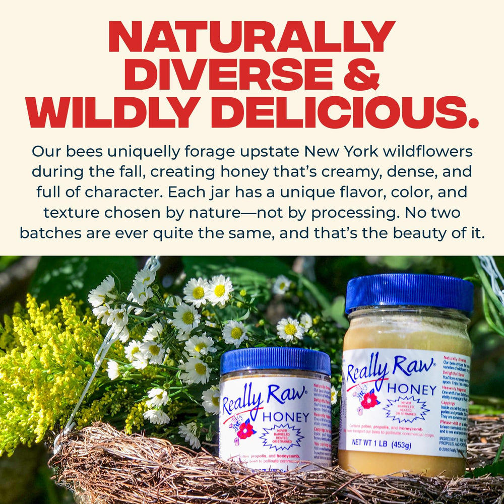 Really Raw Honey 16-ounce bottle on kitchen shelf for drizzle.